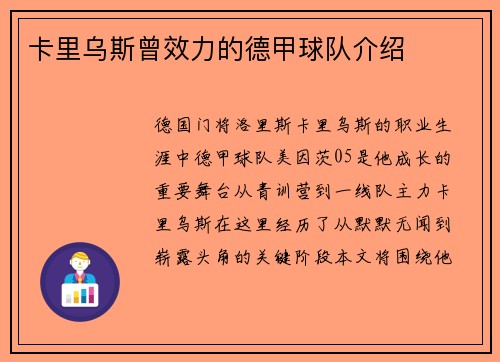卡里乌斯曾效力的德甲球队介绍