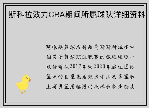 斯科拉效力CBA期间所属球队详细资料