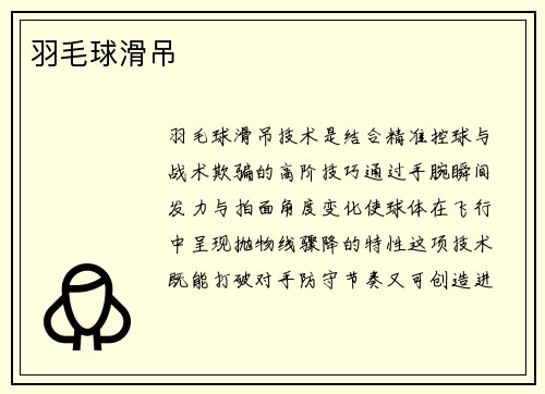 羽毛球滑吊